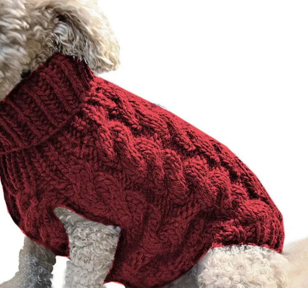 Fancy Knit Sweater