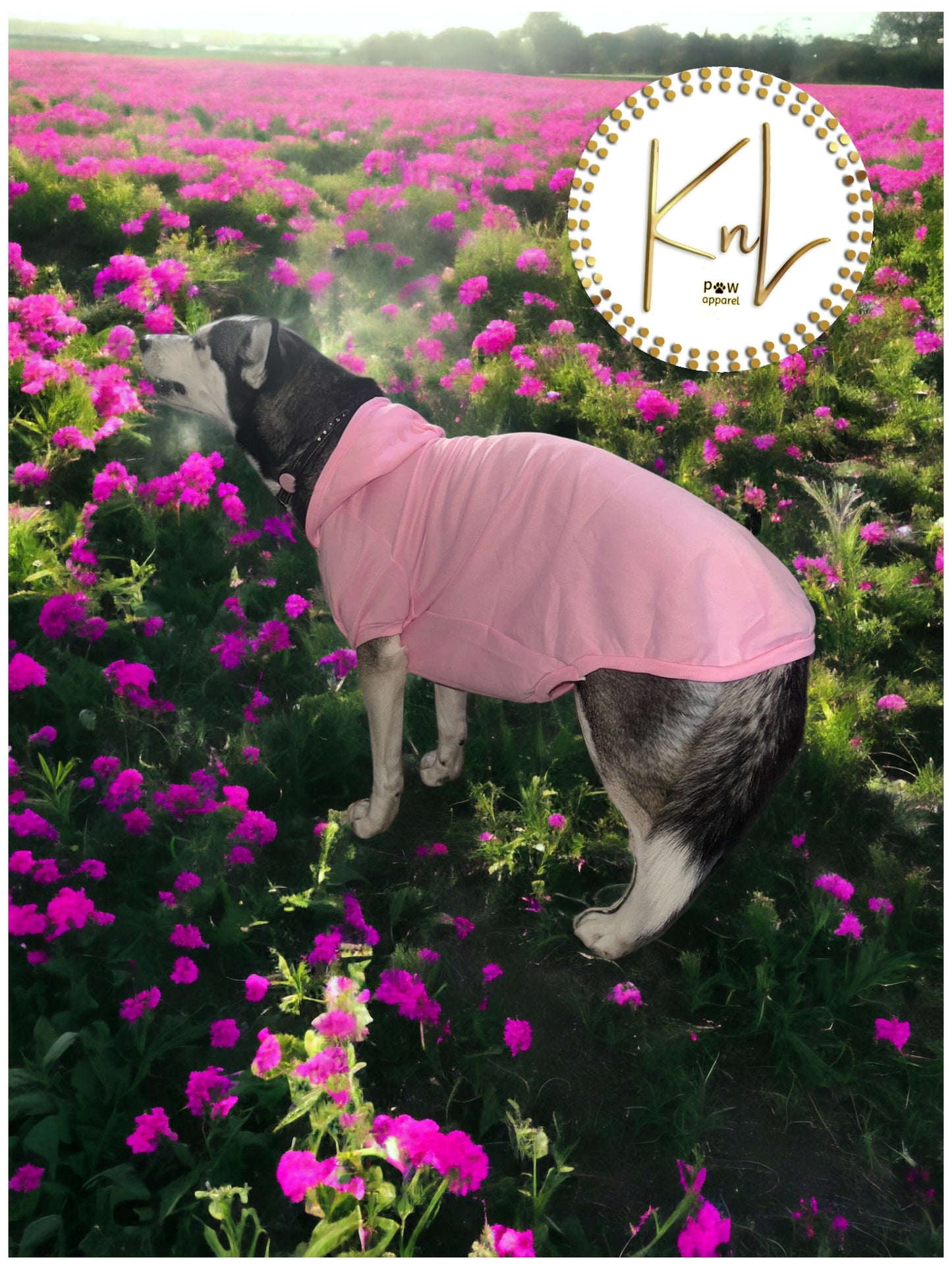 Cotton Hoodie Tee for Dogs