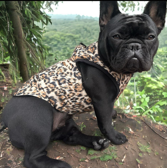 Stylish Harness Vest